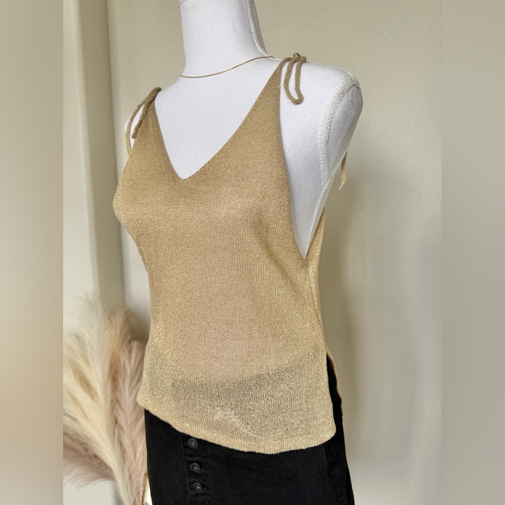 Tan with Gold shimmer festival Women's top